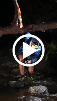 BIB:  <button type="button" onclick="openModal(27496829)" class="btn btn-primary btn-sm float-right" data-toggle="modal" data-target=".modal-high-quality">
                <i class="fa fa-download"></i> Download
                </button>